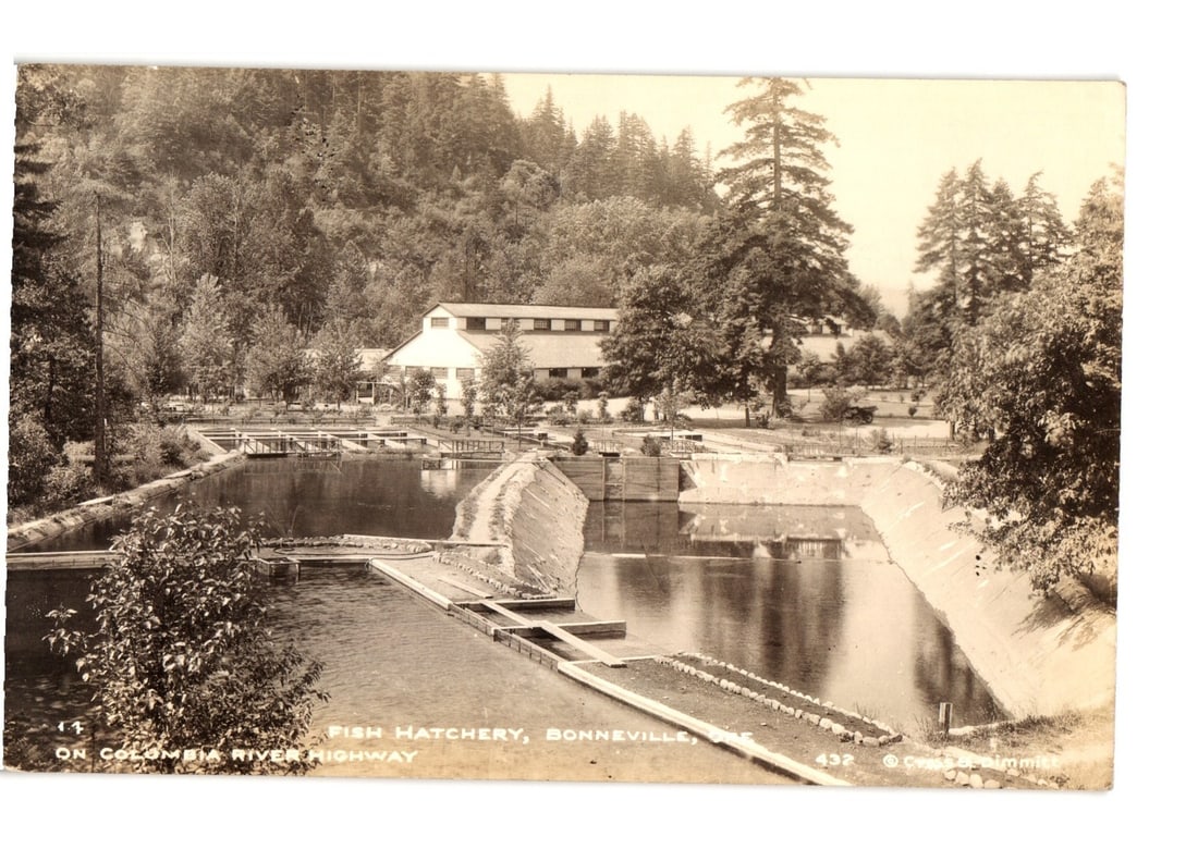 Fish Hatchery at Bonneville, Oregon, Columbia River Highway Real Photo postcard (1 of 2)