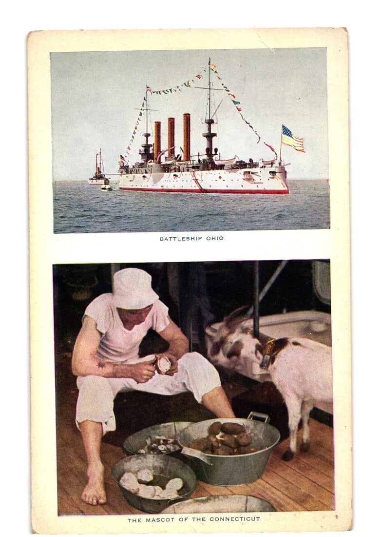 Early 1900s Naval Postcard: Battleship Ohio and USS Connecticut Mascot with a Sailor: Two separate images are presented vertically on the front. The upper image displays the battleship Ohio at sea, shown in profile with three smokestacks, flying a United States flag, and adorned with s
