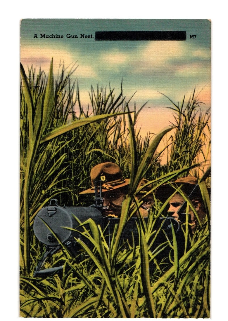 Military-themed illustrated postcard: Soldiers in a machine gun nest, camouflaged in tall grass: Two soldiers are positioned with a machine gun, partially obscured by tall, green and yellow-green grass. The soldier in the foreground, wearing a wide-brimmed hat, is positioned behind the machine gu