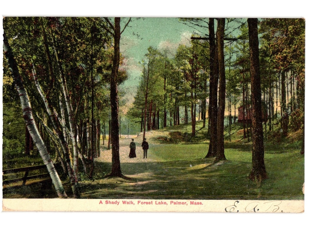 Early 20th Century Postcard: A Shady Walk in Forest Lake, Palmer, Massachusetts, 1907. (1 of 2)
