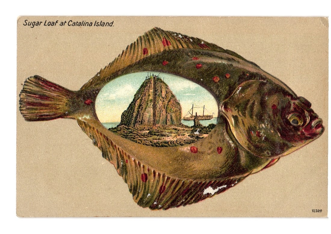 Early 20th Century California: Sugar Loaf at Catalina Island View in Fish Outline Postcard: A chromolithograph depicts a view of Sugar Loaf at Catalina Island, California, presented within the stylized outline of a spotted fish. The central image shows the distinctive conical rock formation 