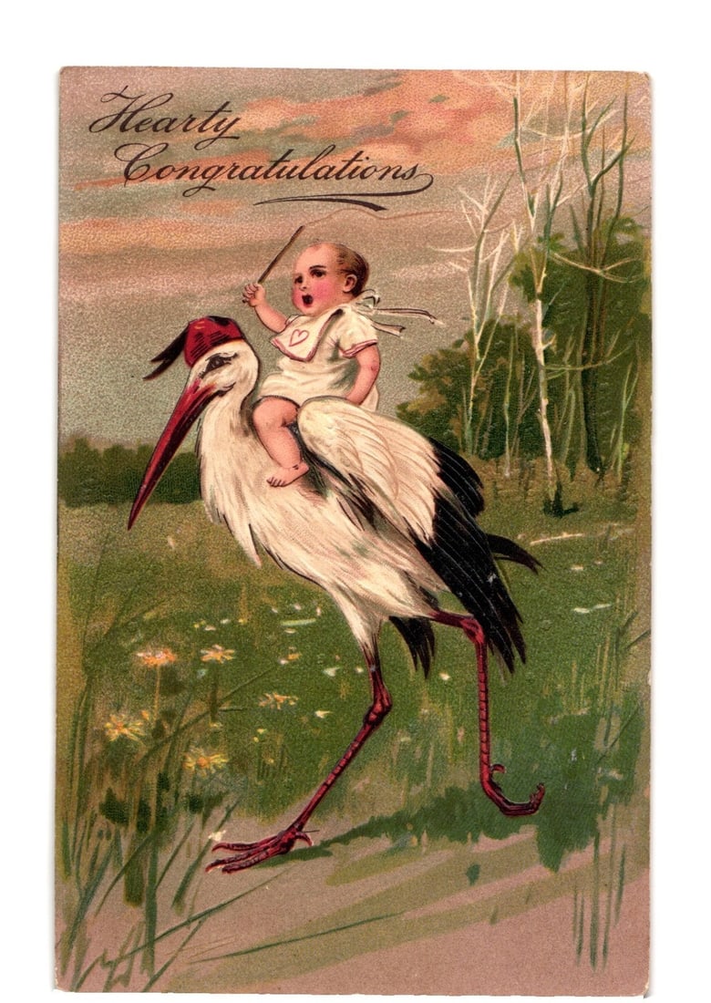 Hearty Congratulations Baby Riding Stork allegory chromolithograph postcard, circa 1909 (1 of 2)