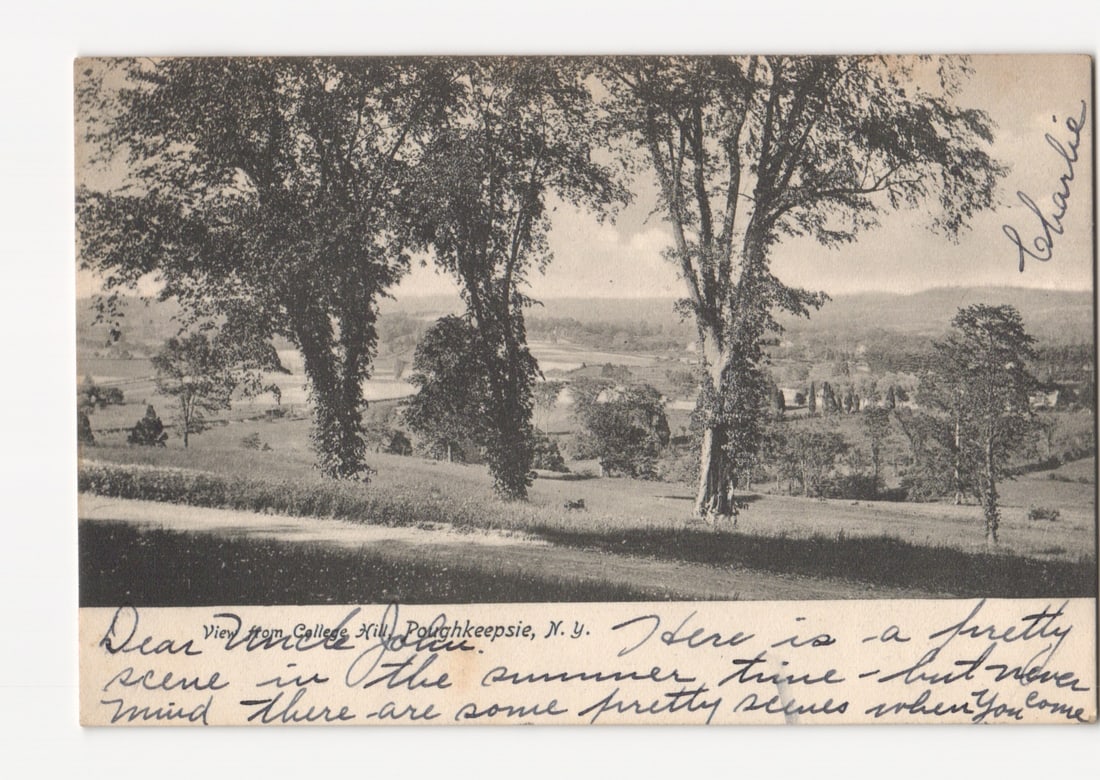 Early 20th Century Postcard: Panoramic View from College Hill, Poughkeepsie, New York.: A panoramic landscape photograph captures an elevated view from College Hill in Poughkeepsie, New York. Three large, leafy trees dominate the foreground and midground, framing a wide valley. The scene