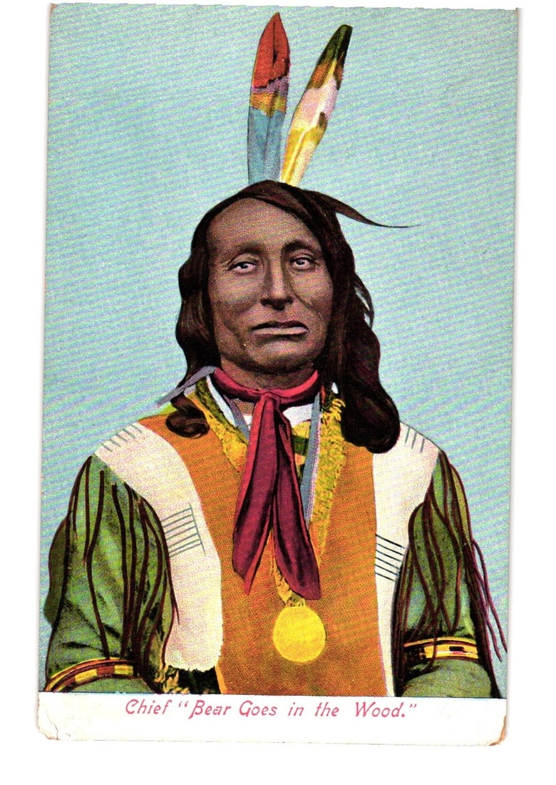 Colorized portrait postcard of Native American Chief "Bear Goes in the Wood" in traditional regalia.: A colorized photographic portrait features Chief "Bear Goes in the Wood" depicted from the waist up, facing forward against a plain light blue background. He wears a traditional headdress with two pro