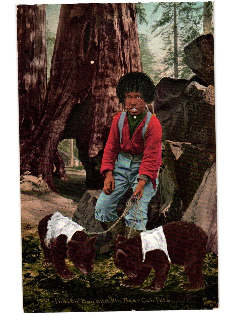 Hand-colored Postcard of Indian Boy with Two Bear Cub Pets in Forest Landscape, Early 20th Century (1 of 2)