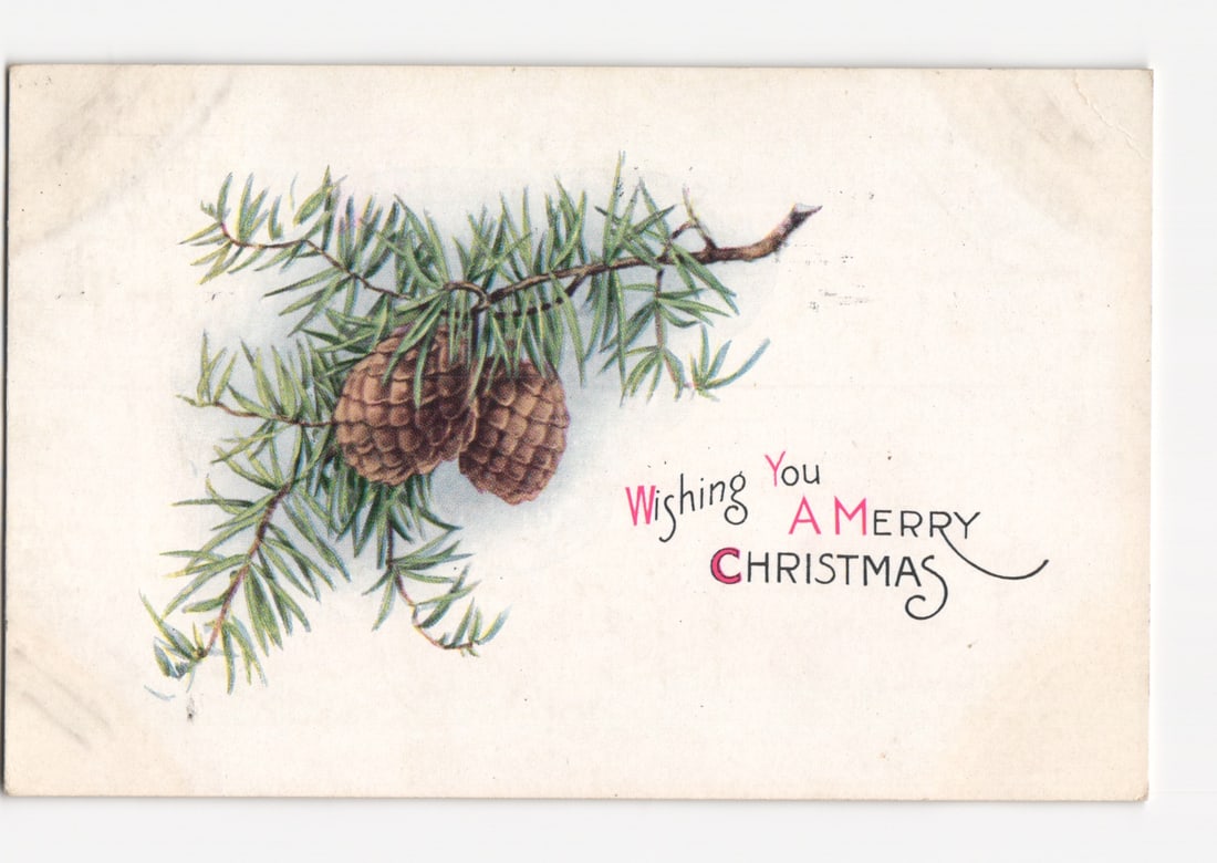Illustrated Christmas postcard: Pine branch with pinecones and holiday greetings, early 20th (1 of 2)