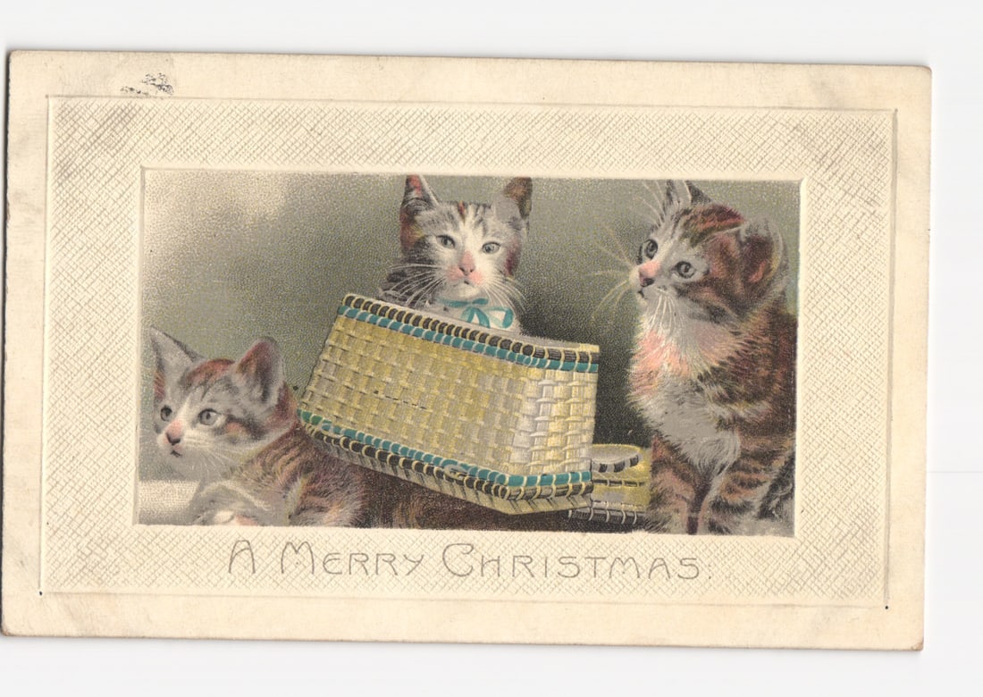 Three Kittens and Basket Holiday Postcard, 'A Merry Christmas' Edwardian Era (1 of 2)