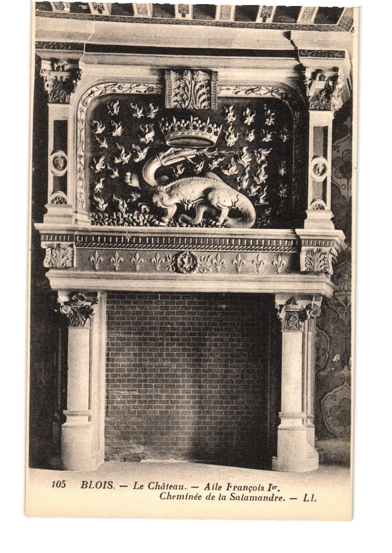Detailed View of the Salamander Fireplace, Francis I Wing, Blois Castle, French Architectural: A centrally framed, ornate architectural fireplace features a large, crowned salamander relief sculpture above the mantelpiece. The salamander rests on a bed of flames, surrounded by smaller flame mot