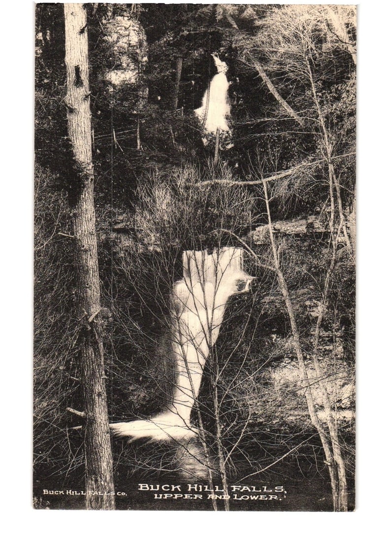 Buck Hill Falls, Upper and Lower waterfall view, photographic postcard, early 20th century: A vertical photographic print features Buck Hill Falls, displaying both its upper and lower cascades. The waterfall descends through a thick forest, where numerous trees are bare, suggesting a cooler 