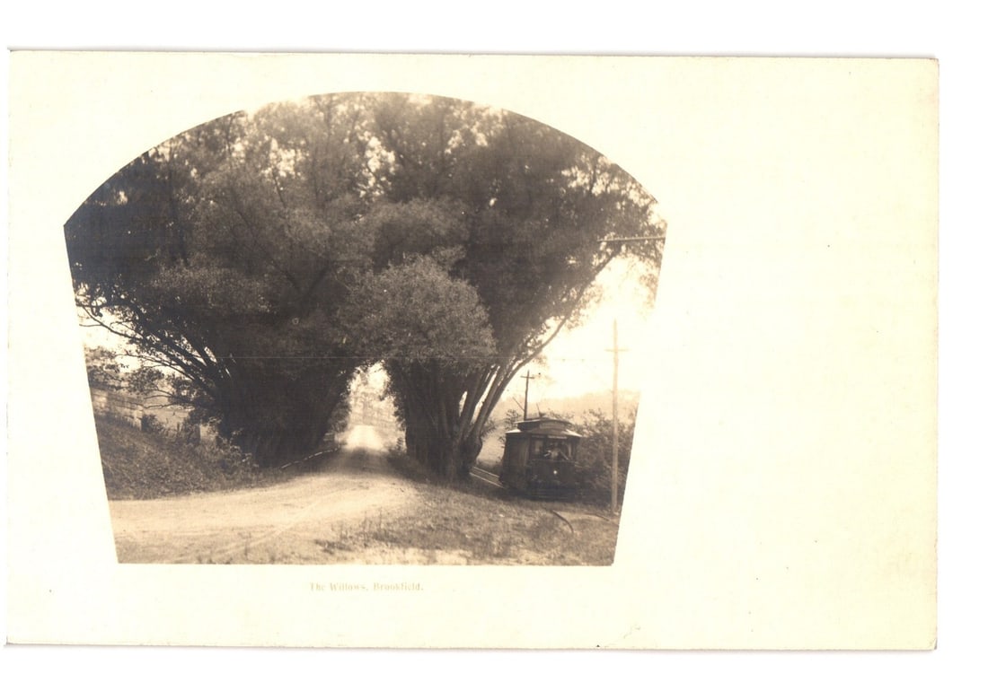 Early 20th Century Real Photo postcard: The Willows, Brookfield, with electric trolley: A sepia-toned photographic image, likely a Real Photo Postcard (RPPC), depicts a scenic road arching under a dense canopy of willow trees. An early electric trolley car is visible on the right side of