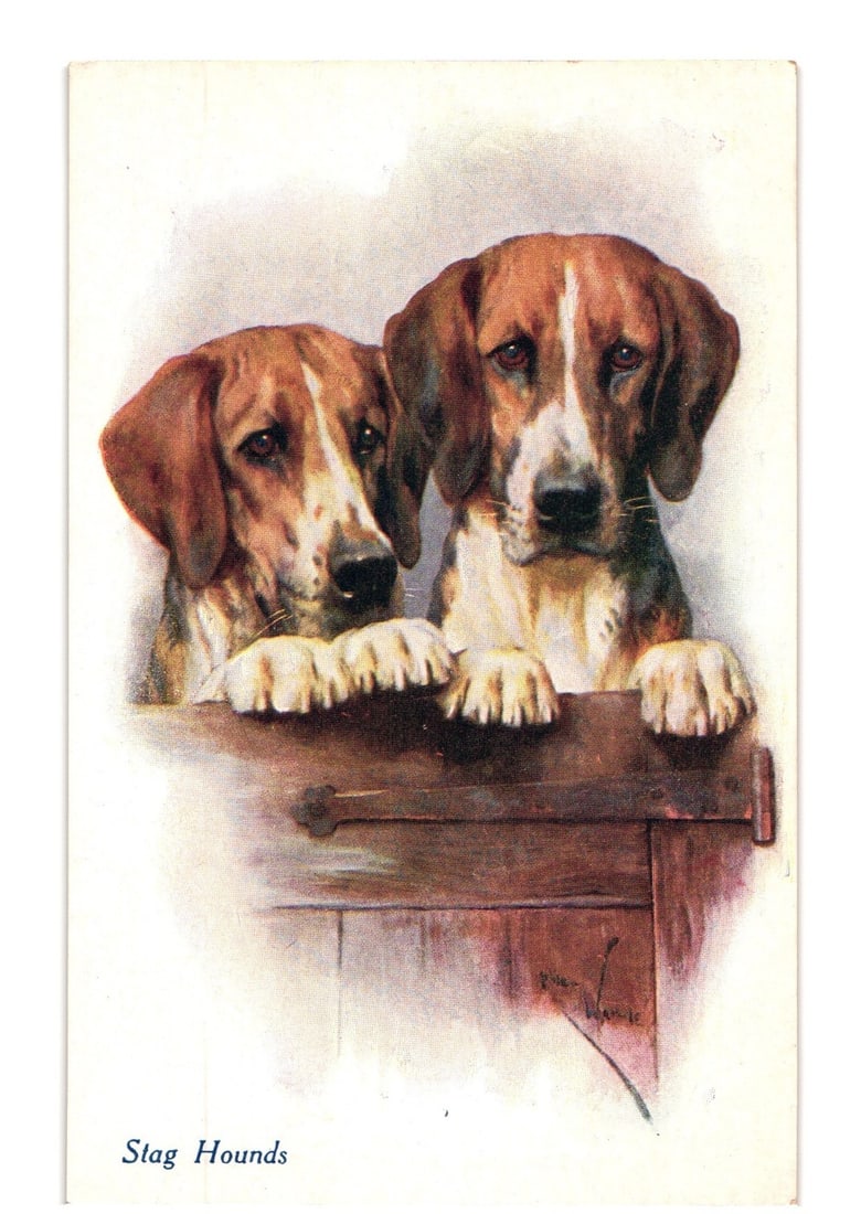 R Wardle chromolithograph postcard featuring two Stag Hounds peering over a wooden barrier. (1 of 2)
