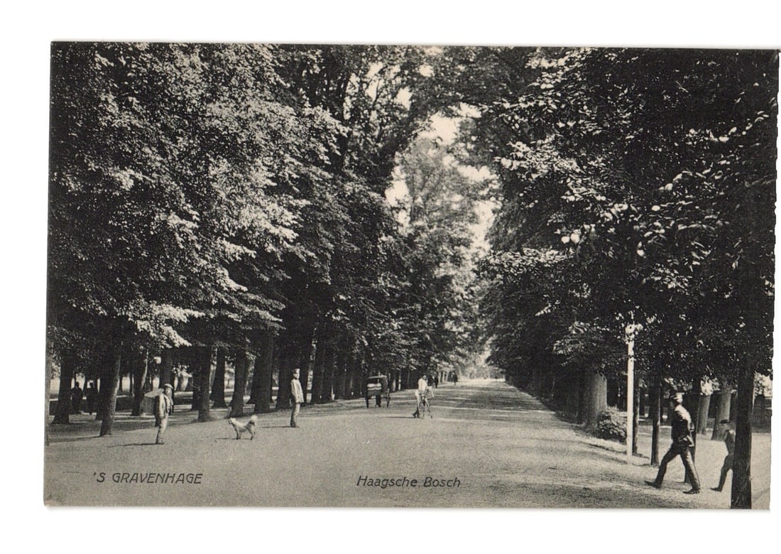 The Hague Forest Avenue with Pedestrians, Netherlands, early 20th century photographic postcard. (1 of 2)