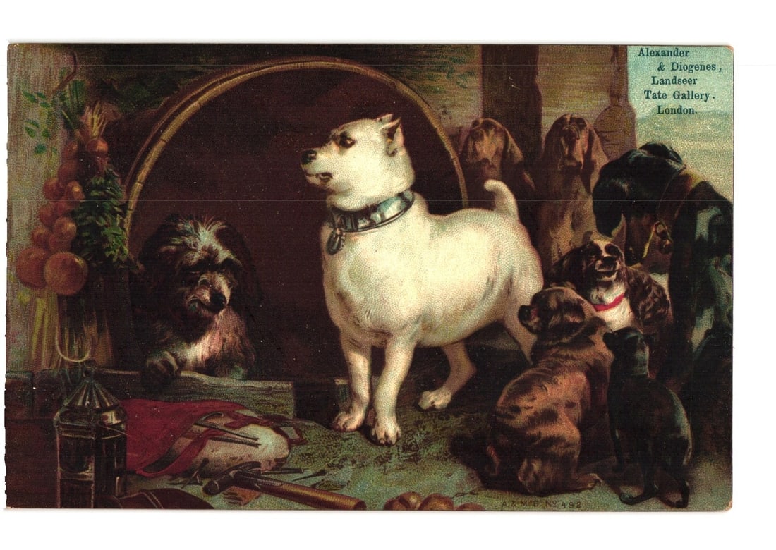 Chromolithograph Postcard: Alexander & Diogenes, Dogs by Landseer, Tate Gallery, 1911: A chromolithograph postcard depicting a group of dogs, reproducing the painting "Alexander & Diogenes" by Landseer. The central subject is a white terrier-type dog, wearing a studded collar, standing 