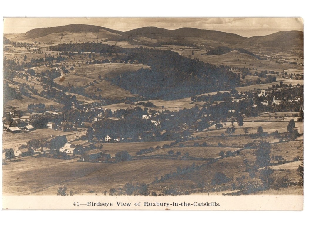 Birdseye View of Roxbury-in-the-Catskills, a Detailed Early 20th Century Photographic Postcard (1 of 2)