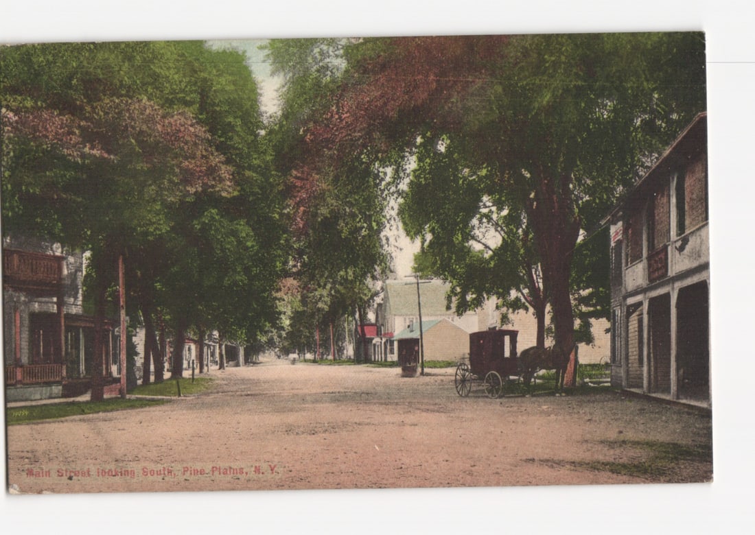 Historic Main Street looking South, Pine Plains, N.Y. c.1920 Hand-Colored View Postcard: A wide dirt road, Main Street, extends into the distance, lined on both sides by large, mature trees with dense foliage, creating a canopy overhead. Two-story buildings are visible on the left and rig