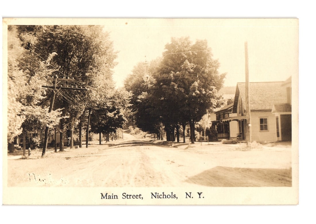 Historic View of Main Street, Nichols, N.Y., featuring a Rural Tree-Lined Road Postcard: A sepia-toned photographic postcard depicting a rural street scene. The image captures Main Street in Nichols, N. Y., looking down a dirt road lined densely with mature trees on both sides. On the rig