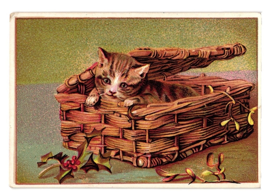 Kitten in Wicker Basket with Holly Chromolithograph Advertising Postcard, Brewster, N.Y., 1883 (1 of 2)