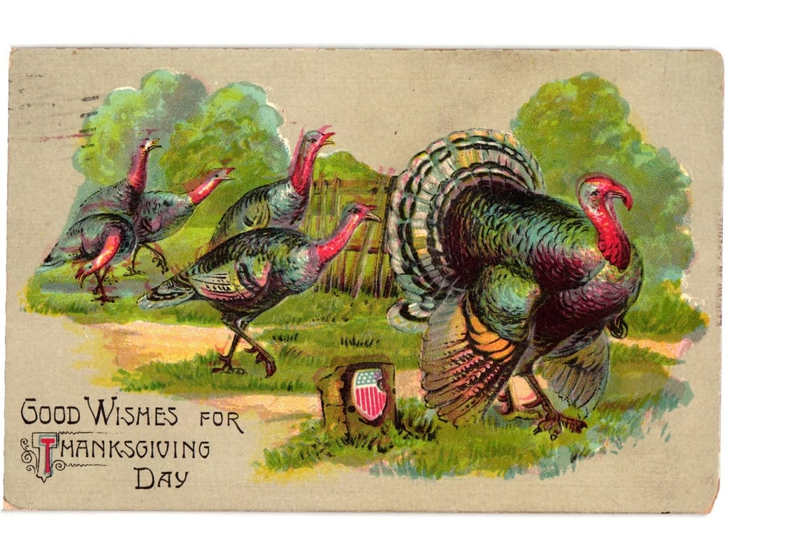 Thanksgiving Day postcard featuring a group of turkeys in a field with an American shield.: A group of five turkeys is depicted in a grassy field with green trees in the background. A large male turkey with a fully fanned iridescent tail is prominent in the right foreground, facing left. Fou