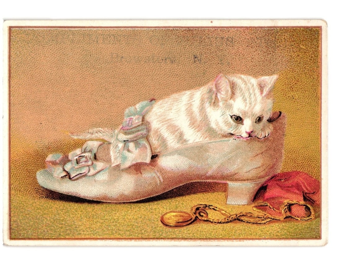 White kitten in decorative shoe with locket, 1883 Brewsters, N.Y. advertising postcard. (1 of 2)
