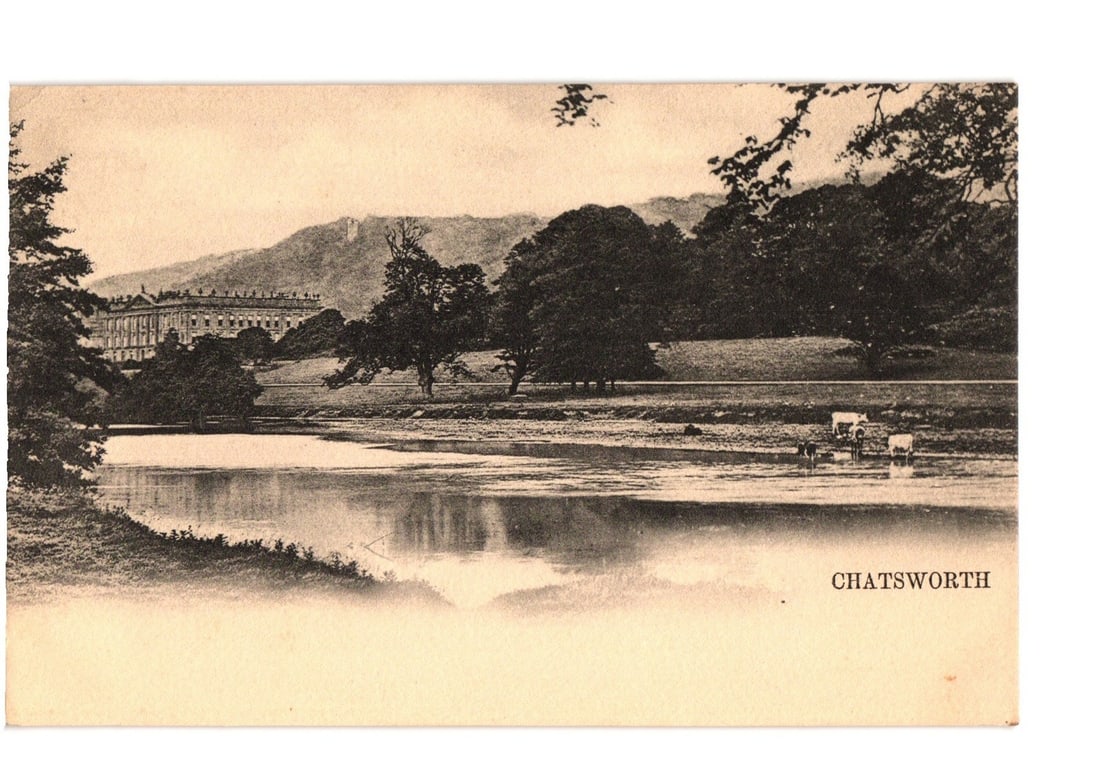 Chatsworth House Estate View with River and Cattle in Derbyshire Early 20th Century postcard: A grand stately home, Chatsworth House, stands on a distant hillside, framed by dense trees. In the foreground, a wide body of water reflects the sky and surrounding foliage. Several cows are present 