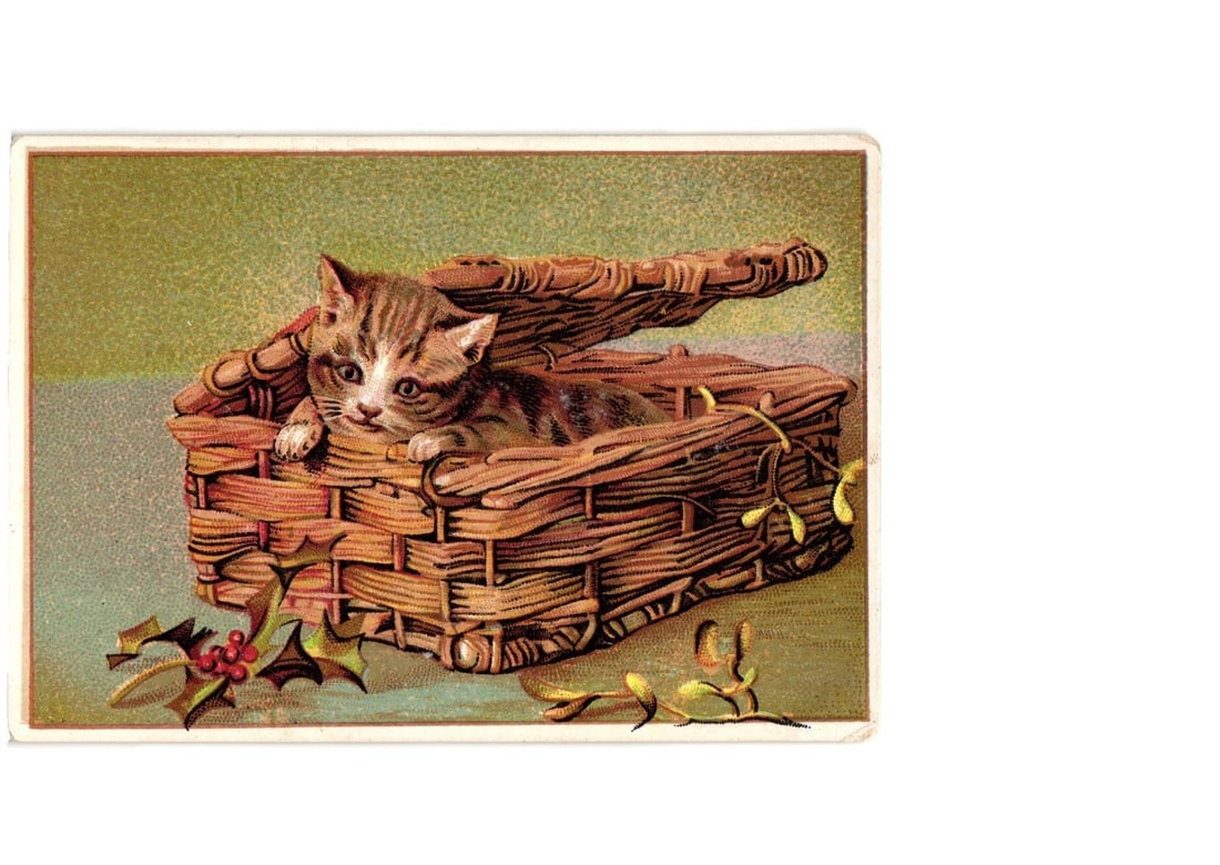 Early chromolithograph postcard of a tabby kitten in a wicker basket with holly, Brewsters, N.Y.,: A tabby kitten is depicted seated inside a woven wicker basket, with its lid partially open. The kitten, rendered with striped fur and forward-looking gaze, is the central focus. Sprigs of red-berried