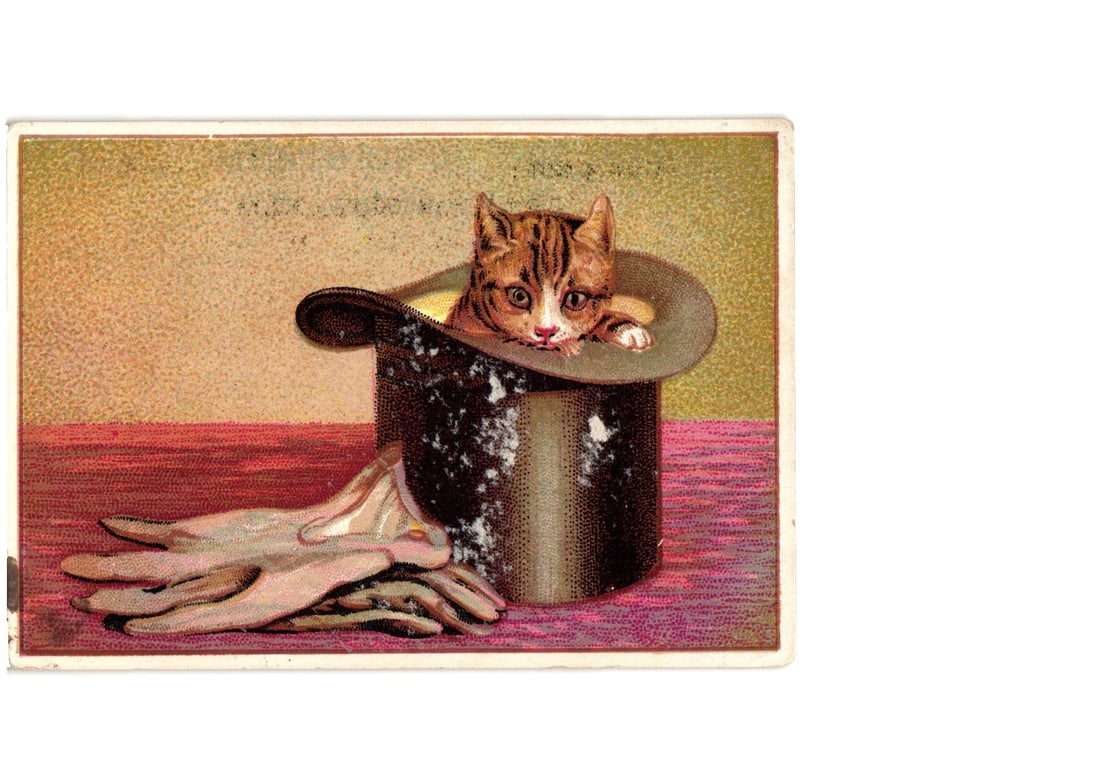 Brewster, N. Y. 1883 Advertising Postcard with Kitten in Top Hat and Gloves Illustration: A tabby kitten is depicted peeking out from the brim of a black top hat. The kitten has prominent, alert eyes and appears to be resting its paws on the hat's edge. To the left of the hat, a pair of li