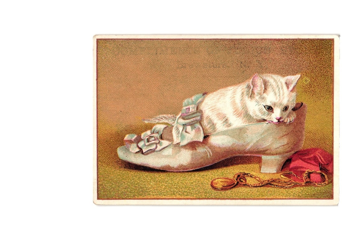 Kitten in Ornate Slipper with Watch, 1883 Julius Stone Advertising postcard, Brewsters, N.Y.: A small, light-colored kitten with tabby markings is depicted curled inside a light-toned, ornate ladies' slipper. The slipper features a decorative bow on the toe. Adjacent to the slipper are a red v