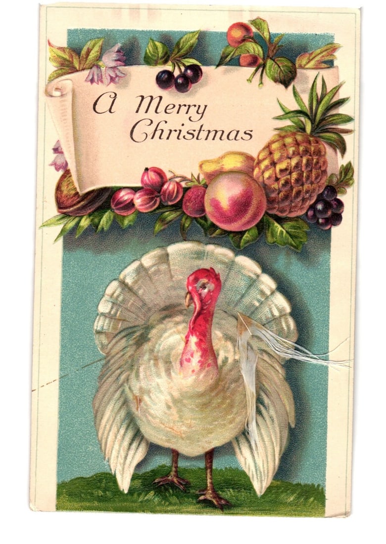 Vintage Chromolithograph Christmas postcard featuring a prominent white turkey and fruit garland.: A white turkey with a fanned tail, red head, and neck stands prominently on green ground. Above the turkey, a scroll banner displays the text "A Merry Christmas". The banner is bordered by an arrangem