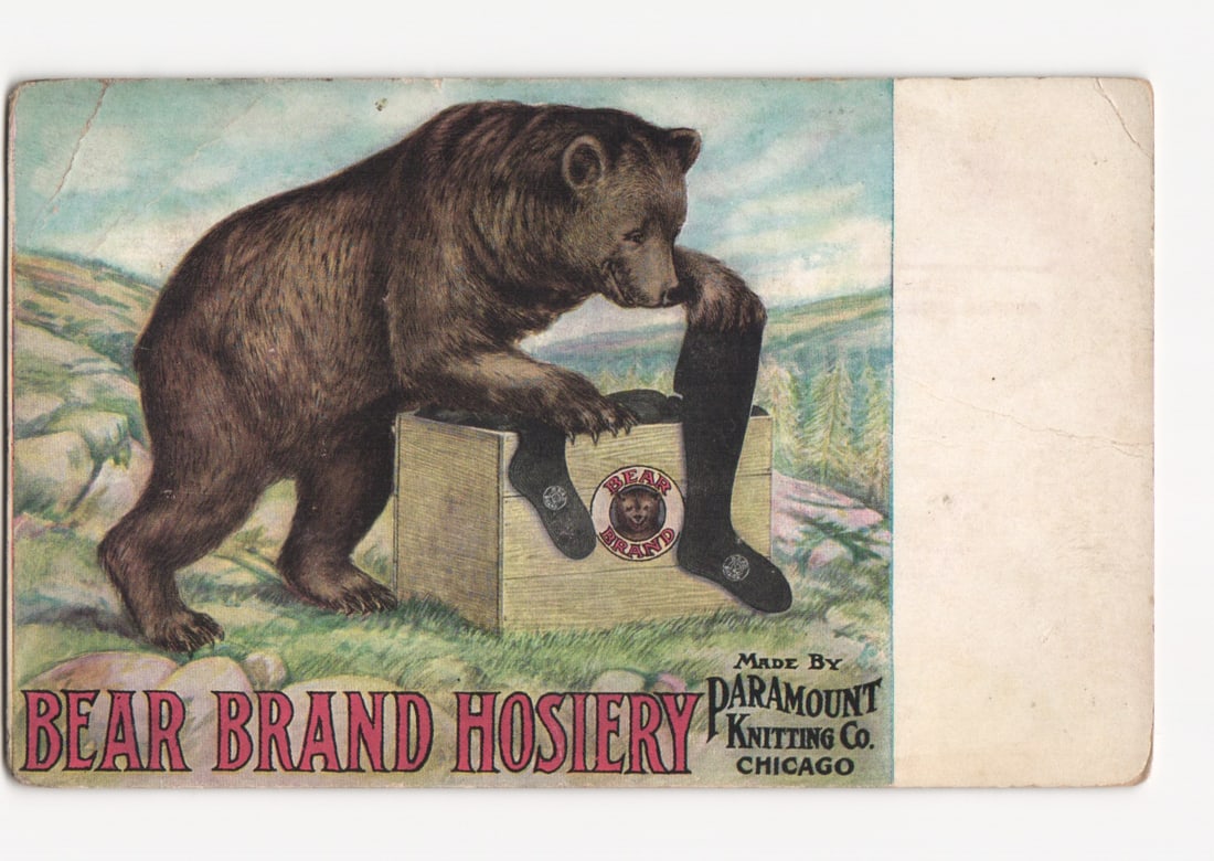 Bear Brand Hosiery Advertising Postcard with a Bear Wearing Socks, Chicago Early 20th Century. (1 of 2)