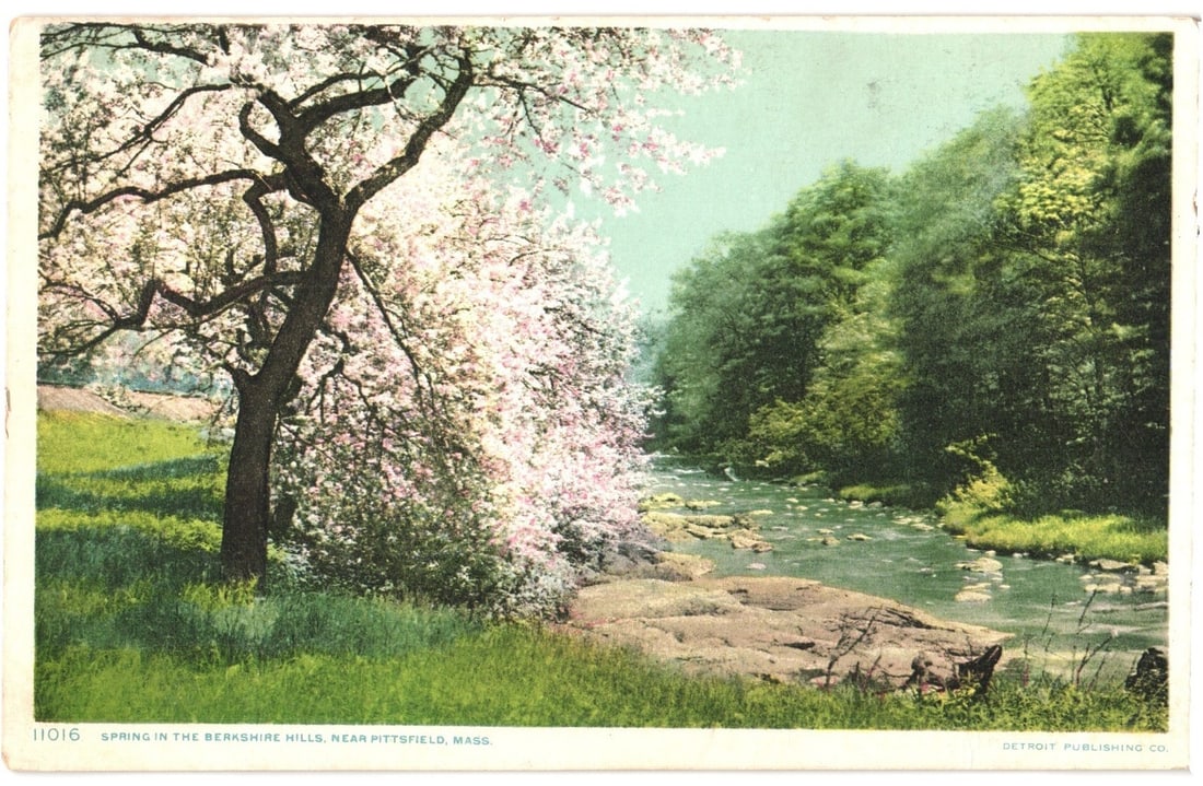 Spring Blossom Landscape with River in the Berkshire Hills, Pittsfield, Mass. postcard (1 of 2)