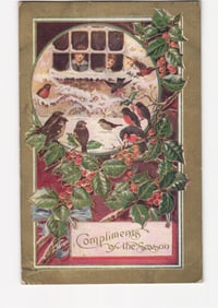 Winter Scene with Children and Birds, Holly Frame, 'Compliments of the Season' postcard, 1911