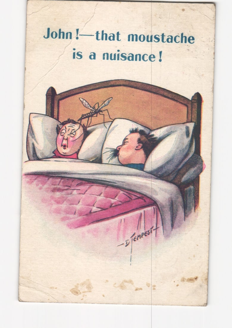 Cartoon postcard of two men in bed, a mosquito and a nuisance moustache, circa early 20th C. (1 of 2)