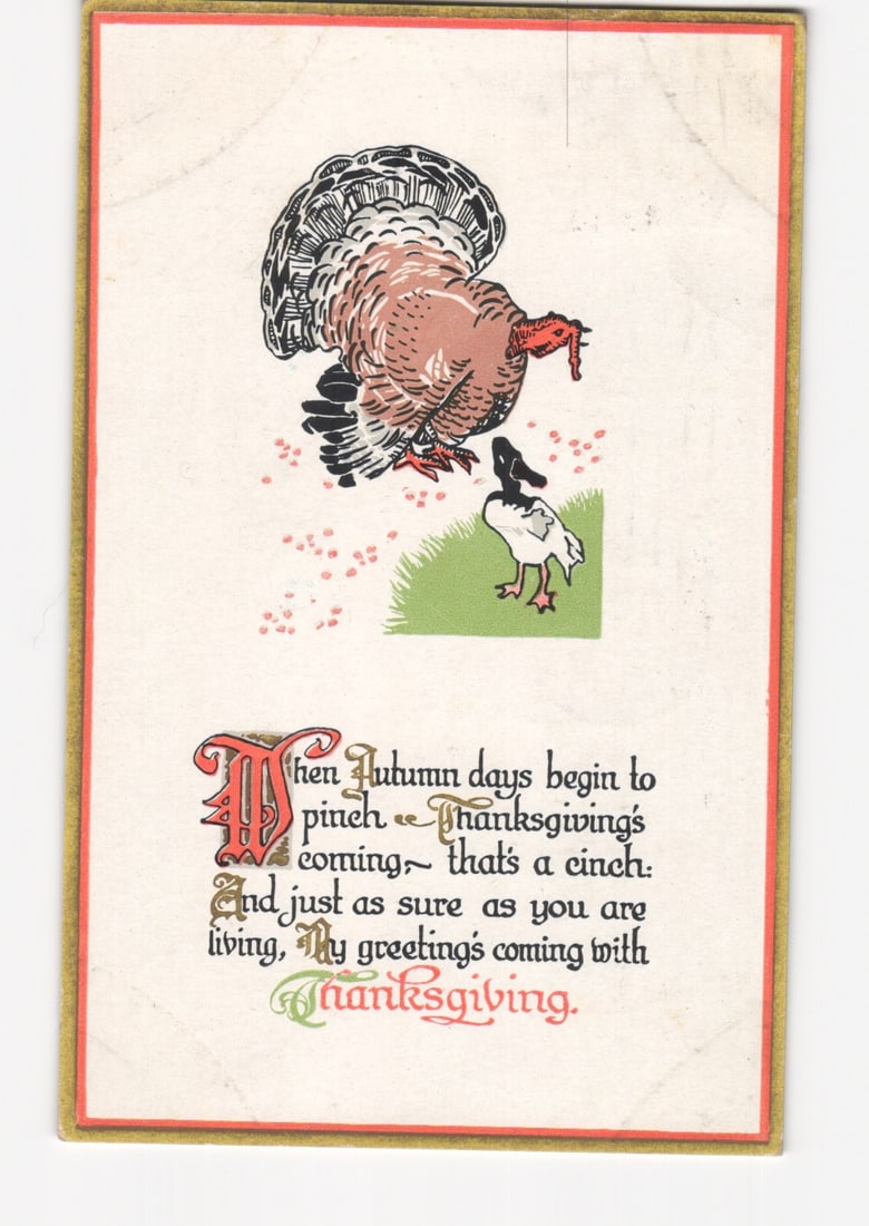 Thanksgiving Turkey and Duck Illustrated Postcard, Poughkeepsie, New York, postmarked 1916 (1 of 2)