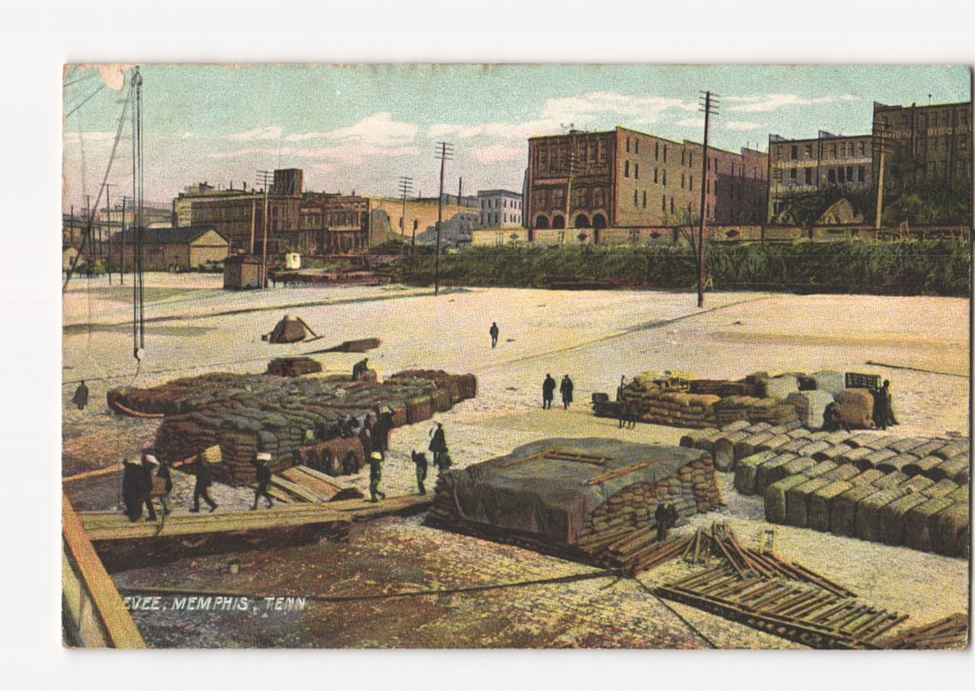 Early 20th Century Levee with Workers and Bales in Memphis, Tennessee postcard: Please review the photos carefully for additional condition details. Note that scans may appear slightly darker or lighter than the item's true appearance, and minor scanning artifacts may be visible.