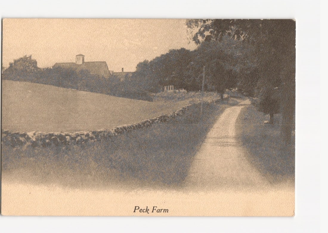 Peck Farm rural landscape with winding road and stone wall, antique photographic postcard: A sepia-toned photographic print shows a rural landscape. A dirt road extends from the mid-right foreground into the background, shadowed by trees on the right. A stone wall runs parallel to the road 