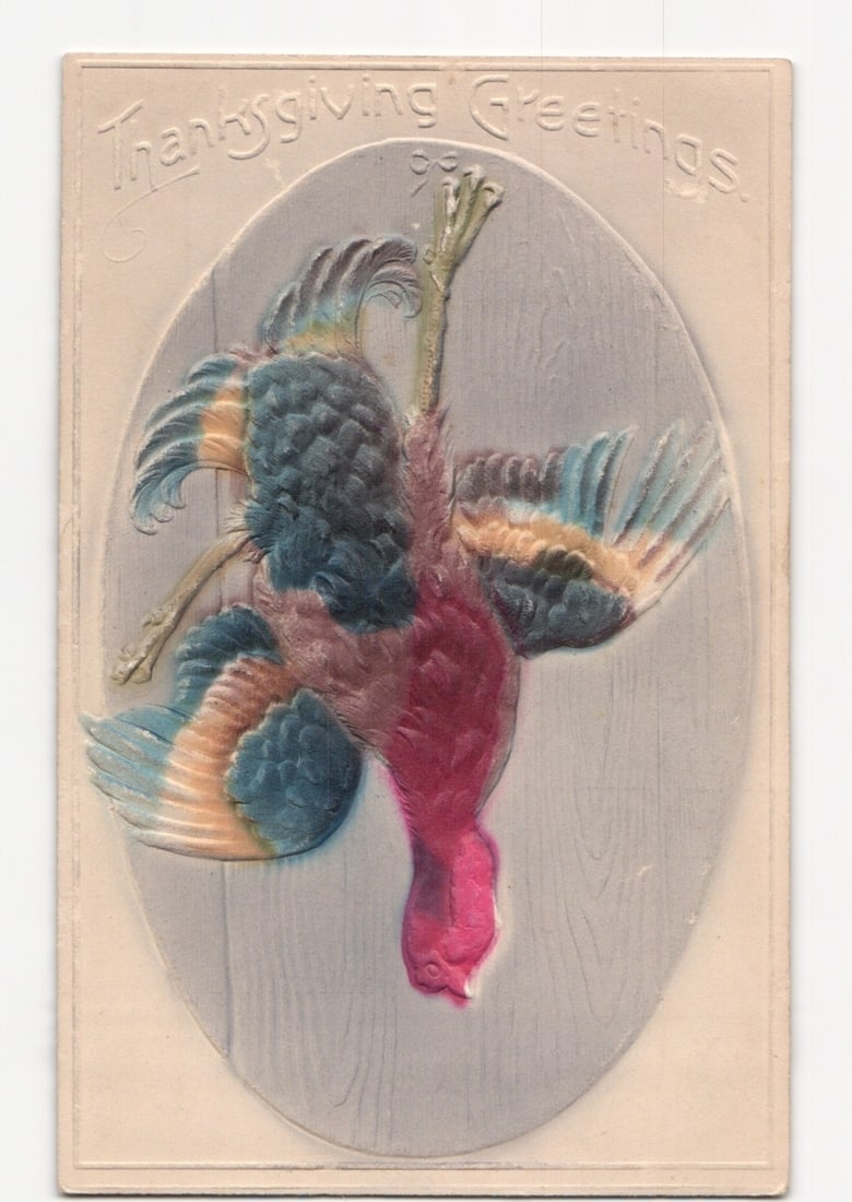 Embossed Chromolithograph Postcard: Plucked Thanksgiving Turkey on Wood Grain Background: A plucked turkey hangs head-down by its feet, centrally positioned within an oval frame on this embossed chromolithograph postcard. The turkey displays a vibrant plumage in shades of blue, orange, pin