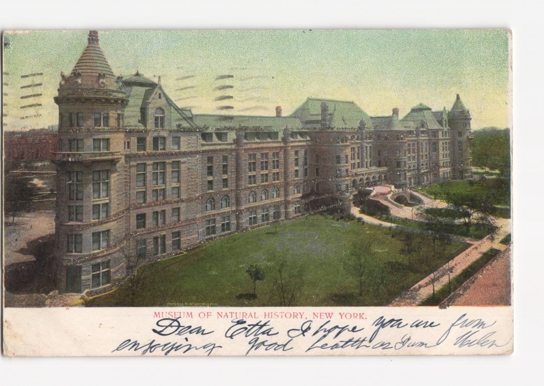 American Museum of Natural History, New York City, 1906 architectural view historical postcard. (1 of 2)
