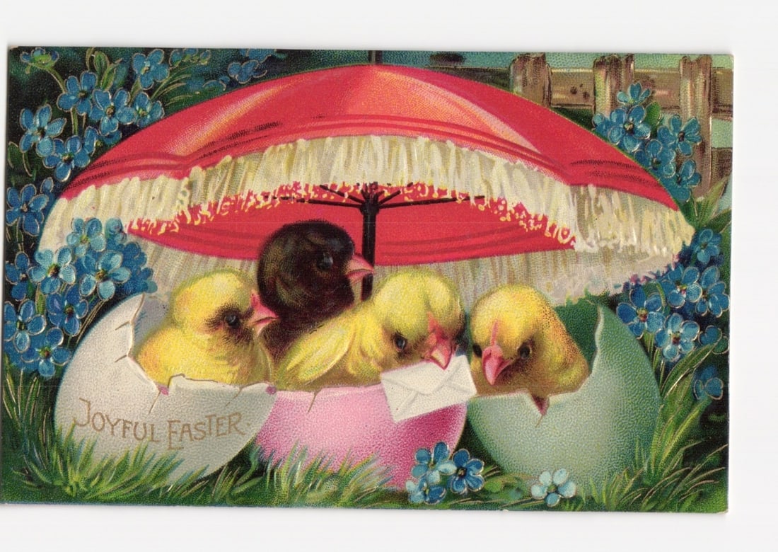 Embossed Chromolithograph Postcard Featuring Chicks Under a Red Umbrella with Easter Message: A vibrant chromolithograph postcard features four young chicks, three yellow and one dark brown, sheltered beneath a bright red umbrella with white fringe. The chicks are positioned amidst broken eggs