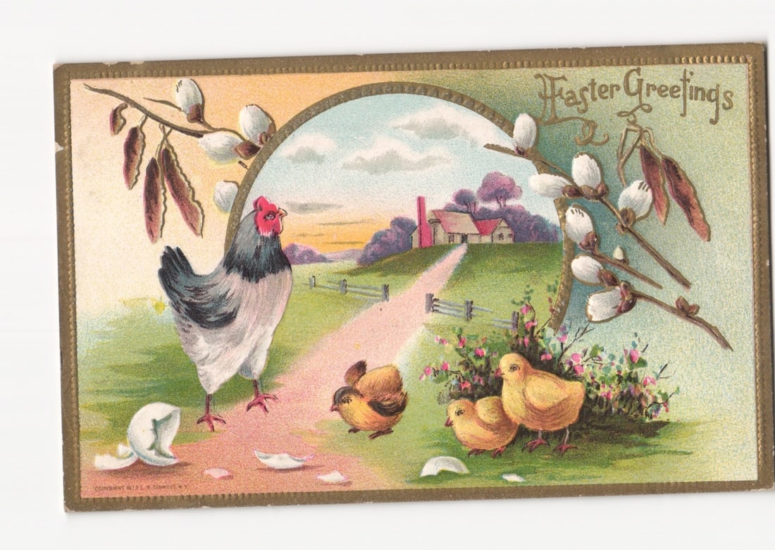 Early 20th Century 1911 Easter Greetings Postcard: Farm Scene with Hen, Chicks, and Pussy Willows (1 of 2)