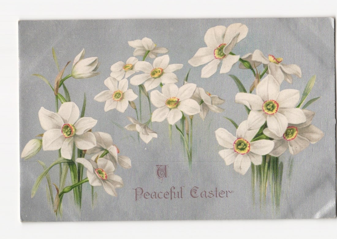Early 20th Century White Daffodil Flowers 'Peaceful Easter' Greeting Lithographic Postcard by German: Clusters of white flowers, resembling daffodils or narcissus, with prominent yellow-green centers, are depicted against a muted blue-gray background. The flowers feature six distinct petals and ruffle