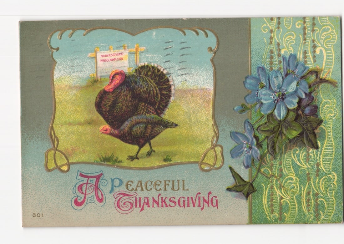 A Peaceful Thanksgiving Postcard Featuring Turkeys, a Proclamation Sign, and Blue Flowers (1 of 2)