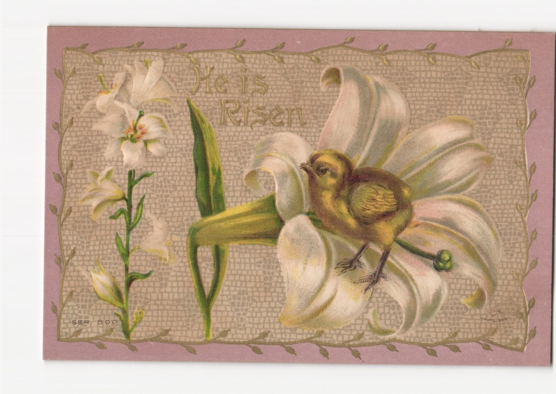 1907 'He is Risen' Easter chromolithograph postcard, chick on a white lily with floral border. (1 of 2)