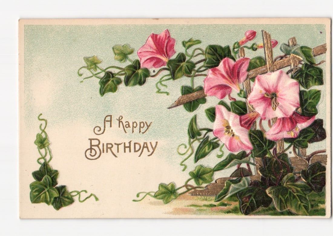 Vibrant Morning Glories on Wooden Fence Birthday Greetings postcard, Early 20th Century: Vibrant pink and white morning glories with green leaves climb a rustic wooden fence, accented with gold-tone highlights. The vines cascade from the right toward the center and lower left. Printed tex
