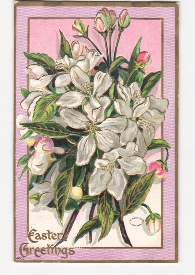 Early 20th Century Chromolithograph Easter Greetings Postcard with White Flowers and Pink Buds: A chromolithograph postcard features a bouquet of white blossoms with pink buds and green leaves, set against a light pink background. The floral elements appear embossed. The composition is framed by