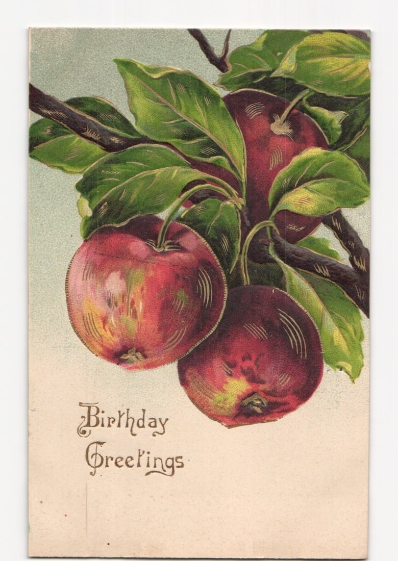 Early 20th century Birthday Greetings postcard depicting a chromolithograph of ripe red apples on a (1 of 2)