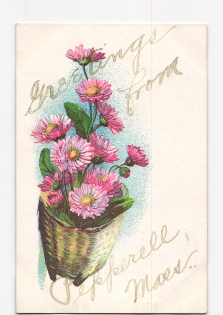 Chromolithograph Postcard of Pink Daisy Flowers in Basket, 'Greetings from Pepperell, Mass.': A chromolithograph image depicts a woven wicker basket filled with pink daisy-like flowers and green foliage, set against a light blue wash background. The flowers feature multiple pink petals and yel