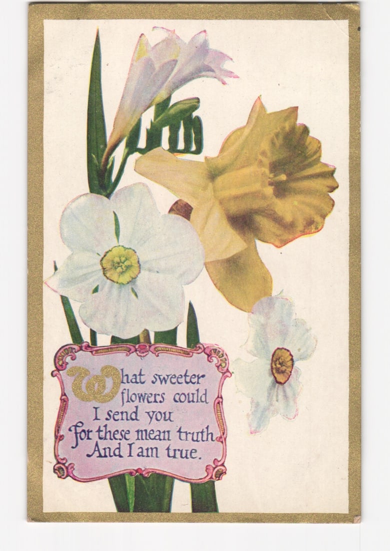 Chromolithograph postcard of Narcissi and Freesia flowers with sentimental verse, Pepperell, MA,: A chromolithograph depicting a vibrant floral arrangement set against a plain cream background with a gold border. The composition features a central cluster of spring flowers: two prominent white nar
