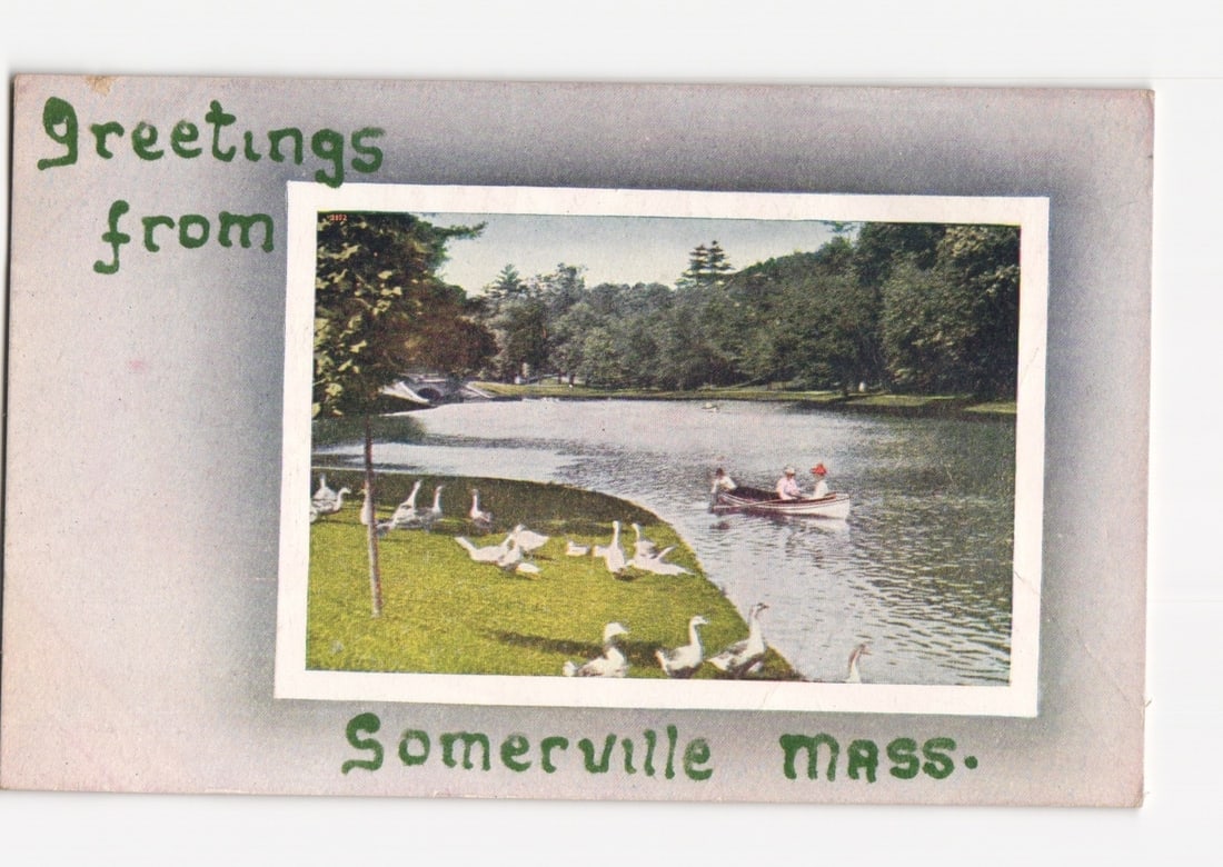 Greetings from Somerville, Massachusetts Lake Scene with Geese and Rowboat, Early 20th C. Postcard: A central rectangular image presents a serene lake or pond with a grassy bank in the foreground. Numerous white geese populate the bank. Three individuals are seated in a rowboat on the water, with de