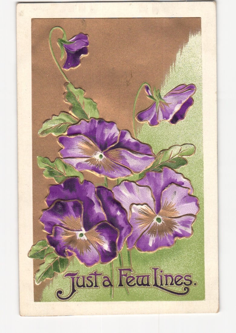 1909 Edwardian Postcard featuring Embossed Purple Pansies and "Just a Few lines.": Four embossed purple pansy blossoms with green leaves are prominently featured, with two smaller blossoms above. The pansies display variegated purple petals with golden-brown and white centers, set a