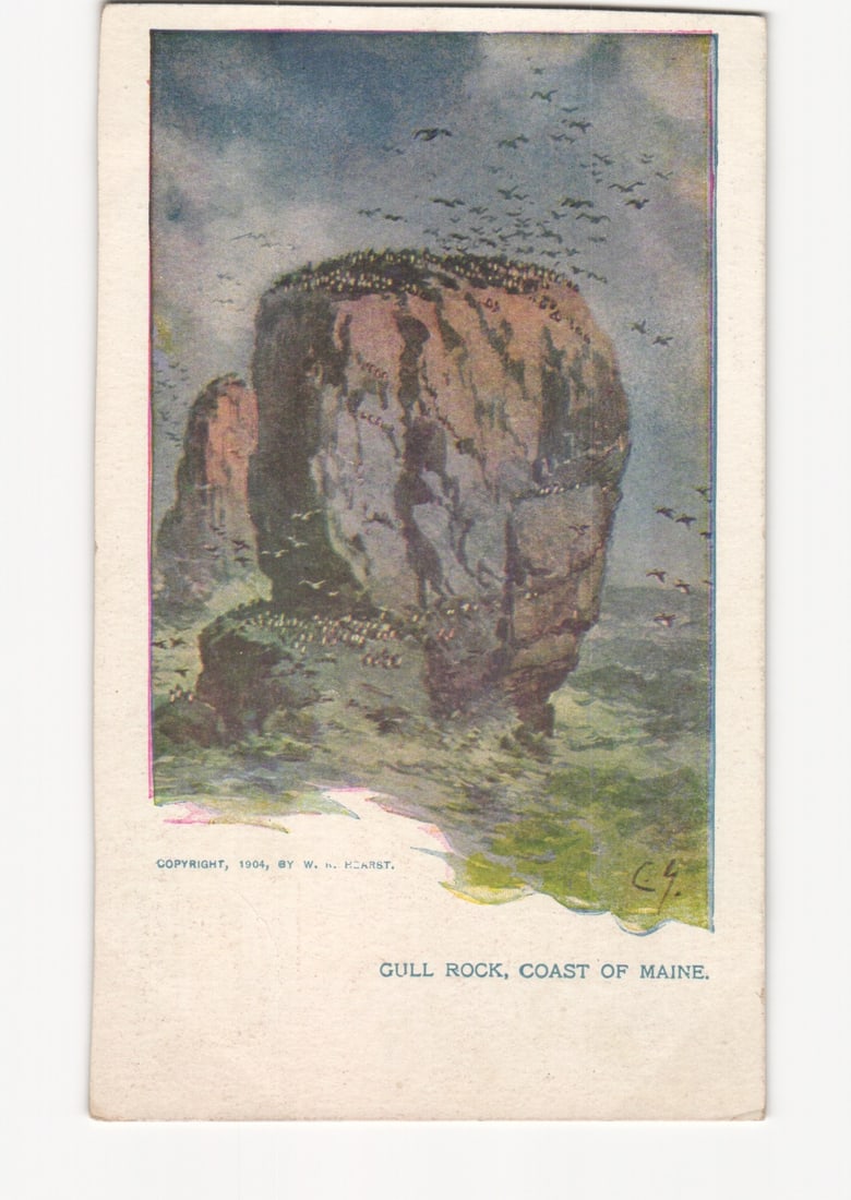 1904 Chromolithograph Postcard depicting Gull Rock, Coast of Maine, teeming with seabirds. (1 of 2)